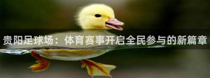 雨燕足球在线直播：贵阳足球场：体育赛事开启全民参与的新篇章