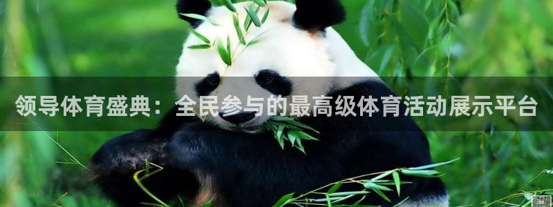 nba在线直播雨燕：领导体育盛典：全民参与的最高级体育活动展示平台