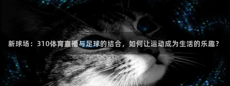 雨燕体育直播360：新球场：310体育直播与足球的结合，如何让运动成为生活的乐趣？