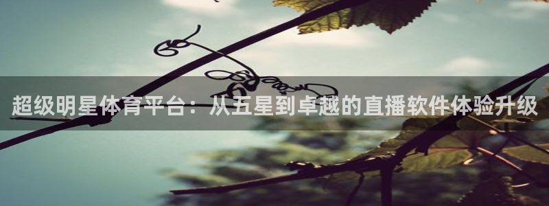 雨燕体育免费直播：超级明星体育平台：从五星到卓越的直播软件体验升级