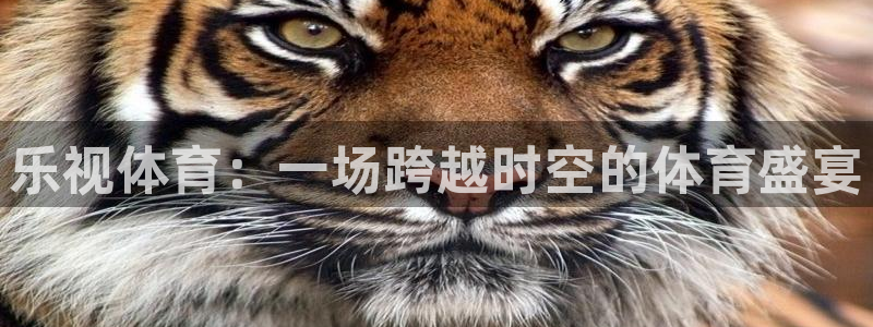雨燕直播体育：乐视体育：一场跨越时空的体育盛宴